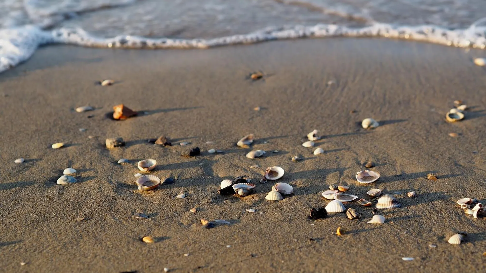 Comfortable Apartment Close To Bibione Beach - Beahost